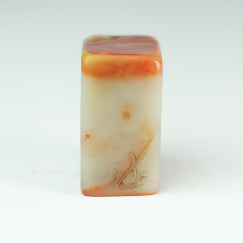 Fish Leaping Over the Dragon Gate Seal - 鱼跃龙门 印章